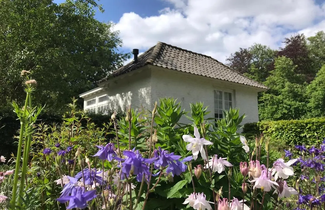 Het Witte Kasteel-1
